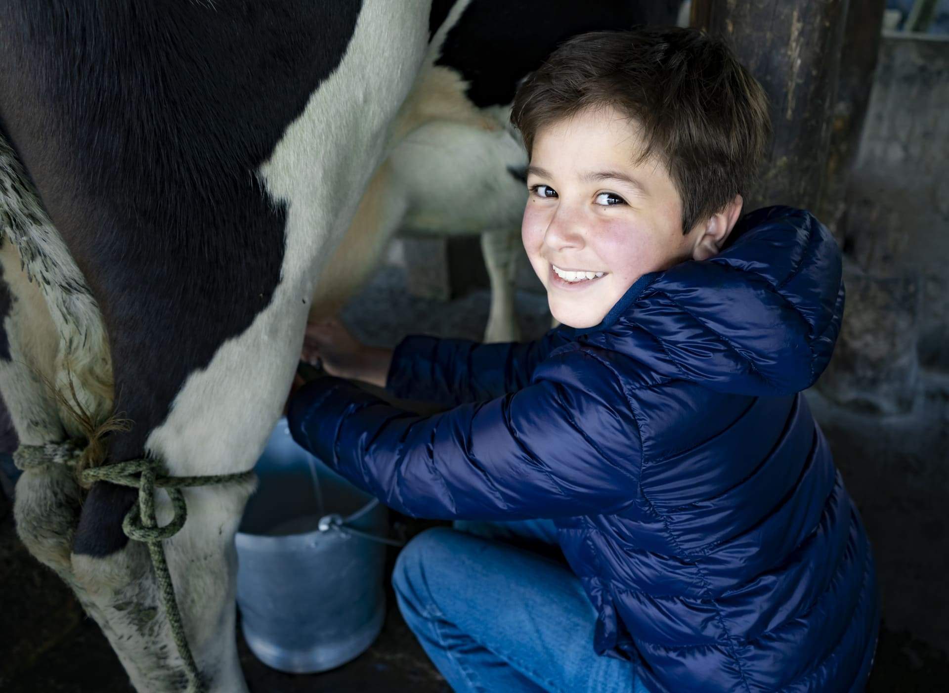 Niño participando en el ordeño de la finca