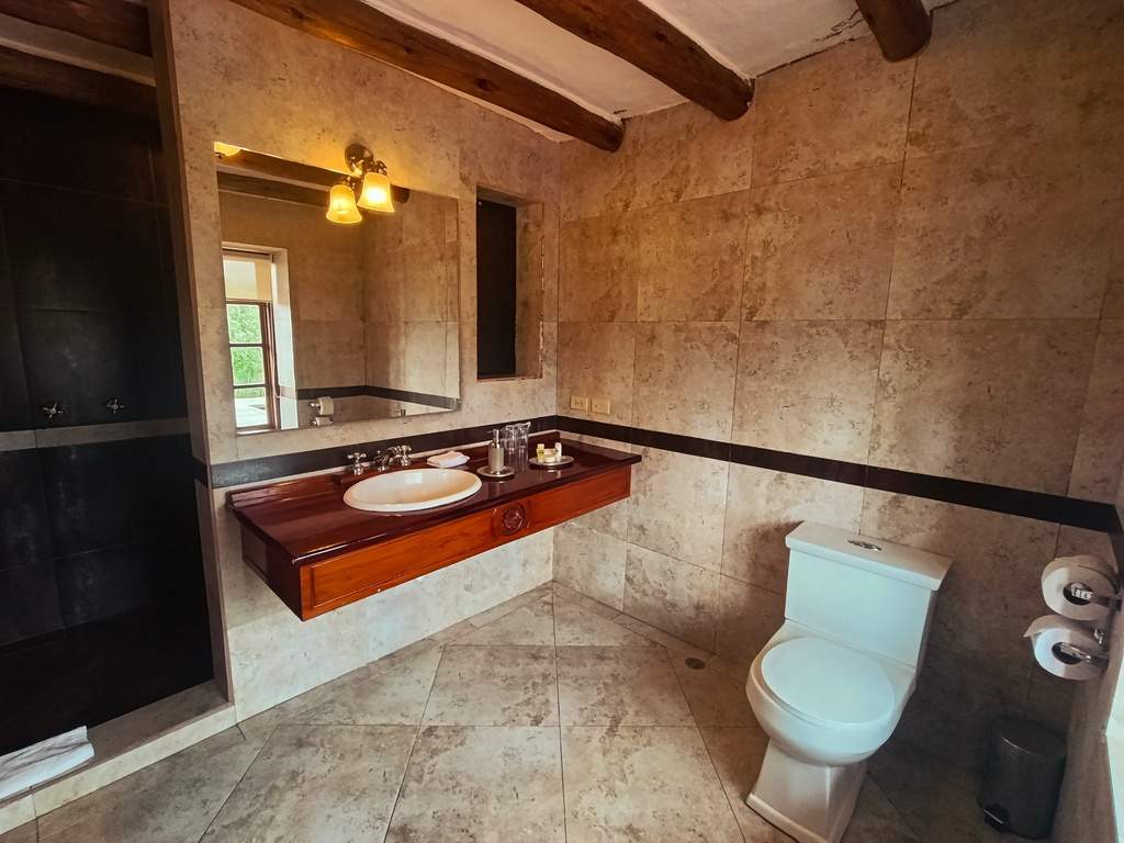 Baño con lavabo, espejo, ducha e inodoro